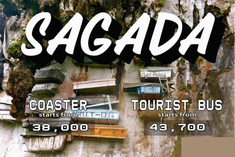 mini bus price philippines